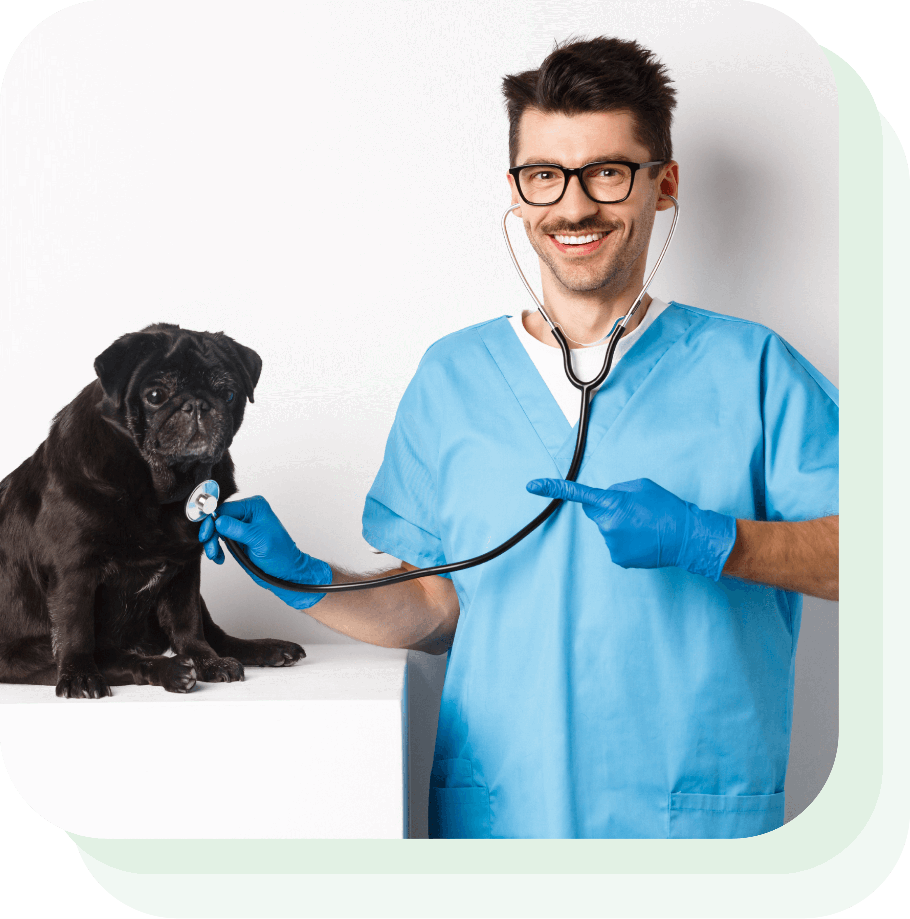 Aplikacija za veterinarske postaje - Lime Booking